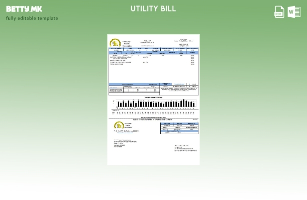 модерен стил на САД Tri County Electric Cooperative шаблон за комунални сметки